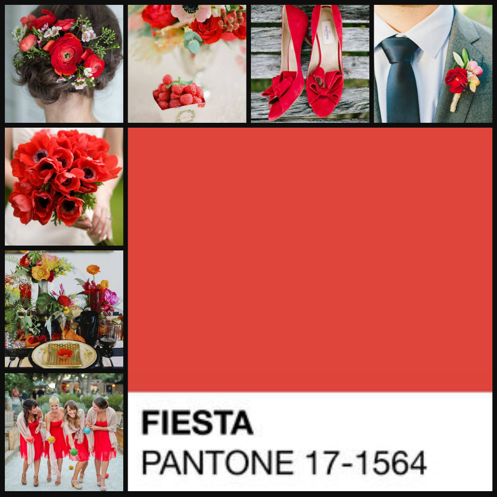 Fiesta-Collage-