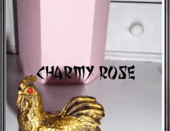 Фън Шуй петле за годината на огнения петел